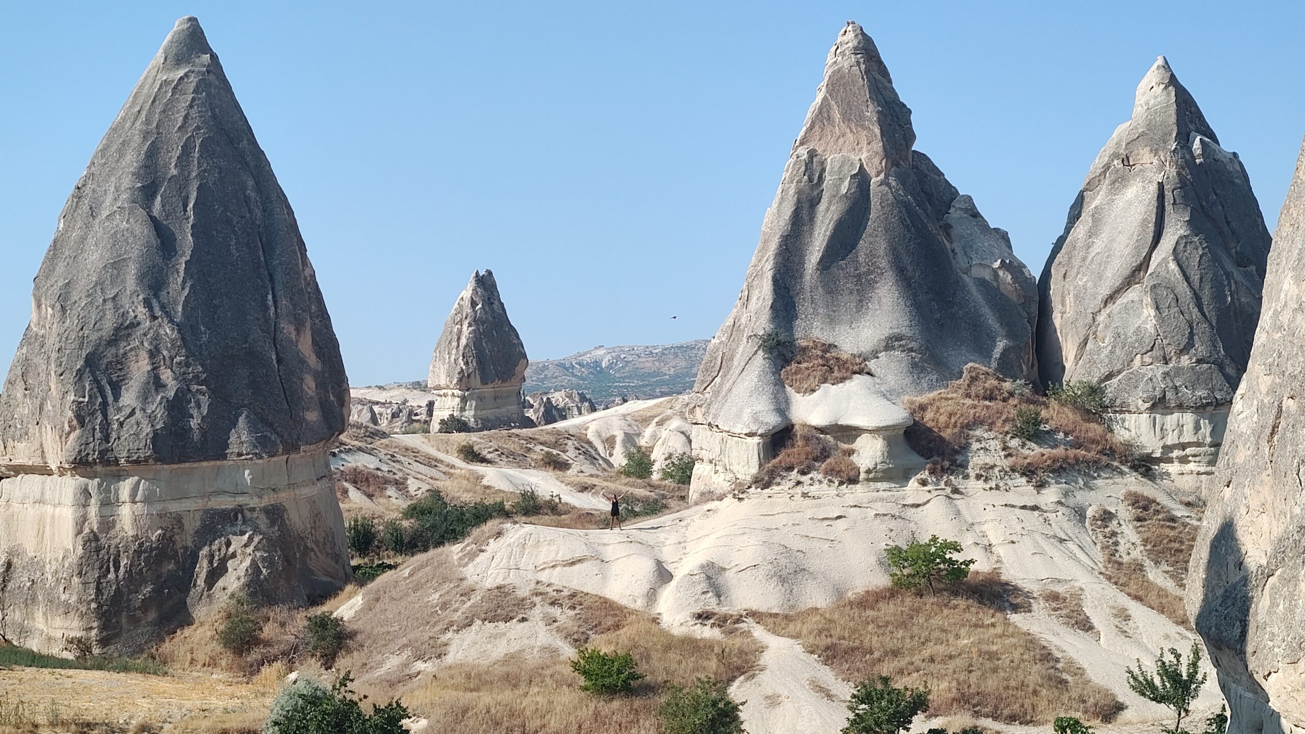 IMG_20240722_084429415